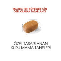 Royal Canin Maltese Terrier Köpek Maması 1.5Kg