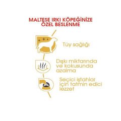 Royal Canin Maltese Terrier Köpek Maması 1.5Kg