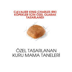 Royal Canin Cavalier King Charles Köpek Maması 3Kg