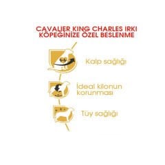 Royal Canin Cavalier King Charles Köpek Maması 3Kg