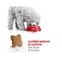 Royal Canin Mini Adult Yetişkin Köpek Maması 4Kg