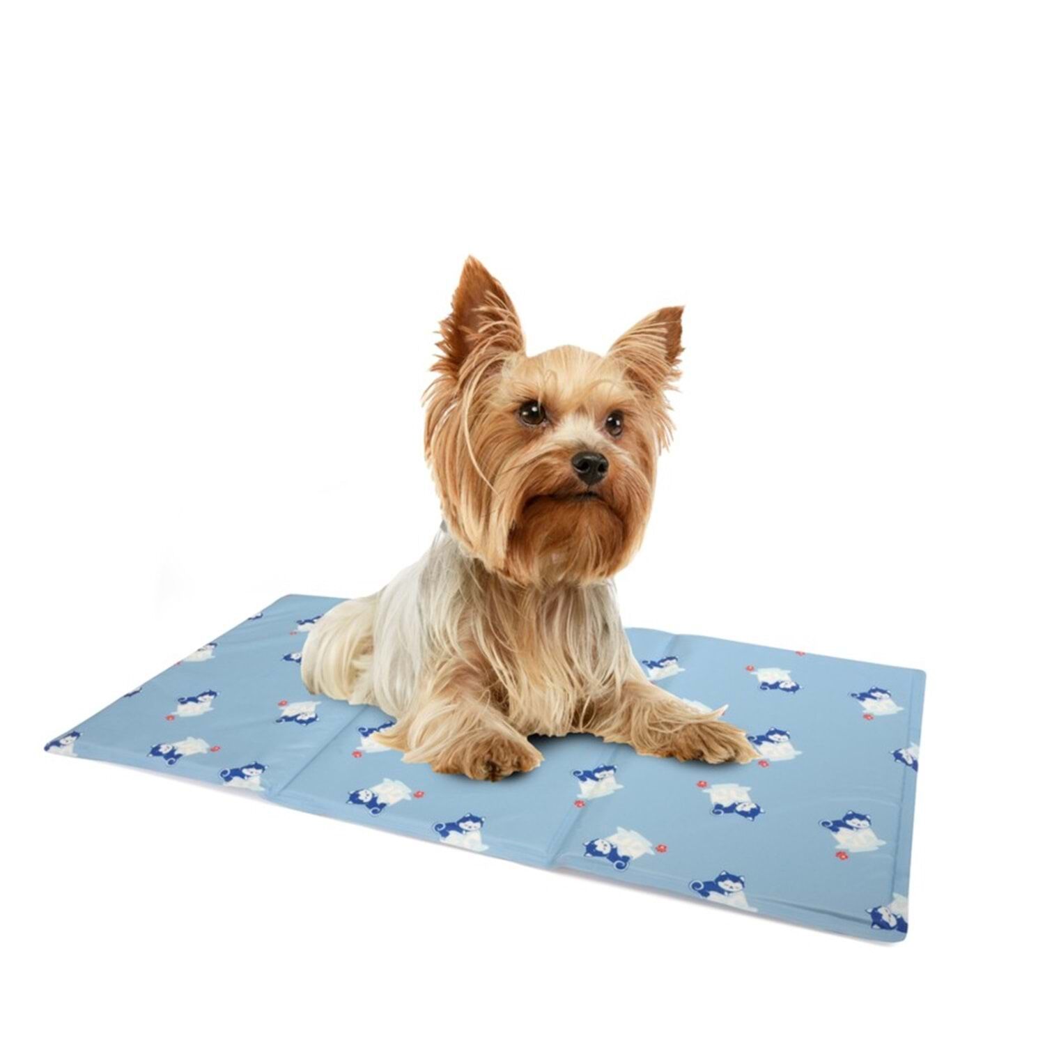 Camon Soğutucu Serinletici Mat 50x40 cm