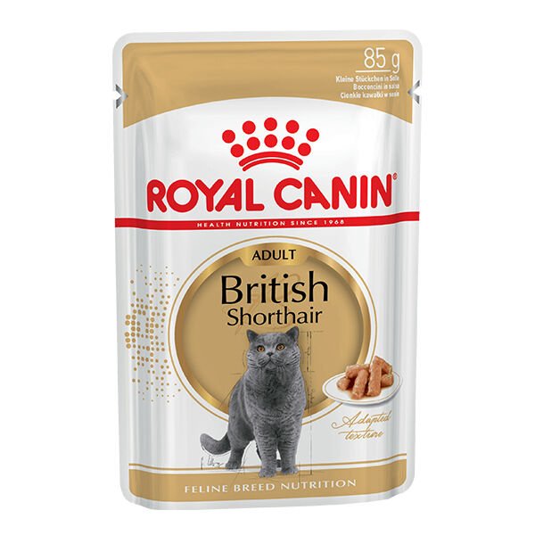 Royal Canin British Shorthair Kedi Konservesi 85 gr