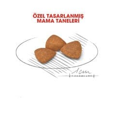 Royal Canin XSmall Ageing+12 1.5 Kg