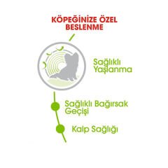 Royal Canin XSmall Ageing+12 1.5 Kg