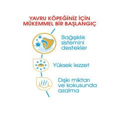 Royal Canin Chihuahua Junior Yavru Köpek Maması 1.5 Kg