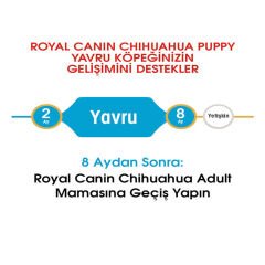 Royal Canin Chihuahua Junior Yavru Köpek Maması 1.5 Kg
