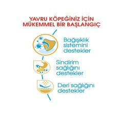 Royal Canin French Bulldog Junior Yavru Köpek Maması 3 Kg