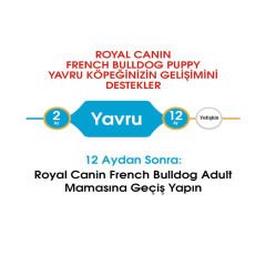 Royal Canin French Bulldog Junior Yavru Köpek Maması 3 Kg