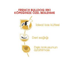 Royal Canin French Bulldog Yetişkin Köpek Maması 3 Kg