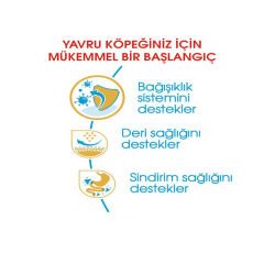 Royal Canin Pug Junior Yavru Köpek Maması 1.5 Kg