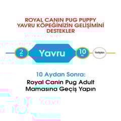 Royal Canin Pug Junior Yavru Köpek Maması 1.5 Kg