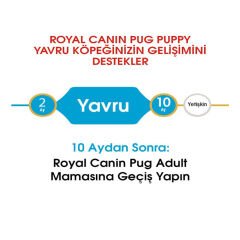Royal Canin Pug Junior Yavru Köpek Maması 1.5 Kg