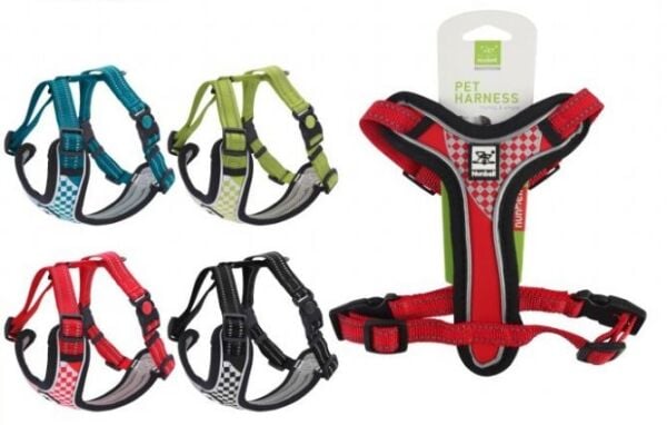 Nunbell Kopek Gogus Tasması S