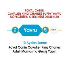 Royal Canin Cavalier Junior Yavru Köpek Maması 1.5 Kg
