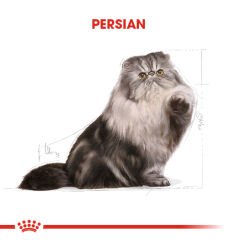 Royal Canin Persian İran Kedilerine Özel Kedi Konservesi 85 gr