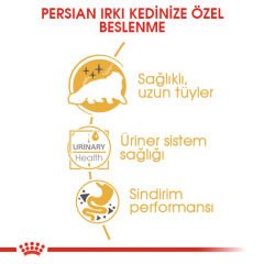 Royal Canin Persian Kedi Konservesi 85 gr