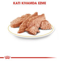 Royal Canin Persian İran Kedilerine Özel Kedi Konservesi 85 gr