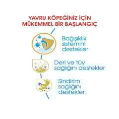 Royal Canin Cocker Junior Yavru Köpek Maması 3 Kg