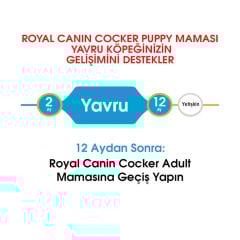 Royal Canin Cocker Junior Yavru Köpek Maması 3 Kg