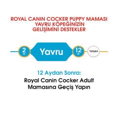 Royal Canin Cocker Junior Yavru Köpek Maması 3 Kg