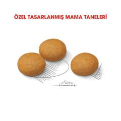 Royal Canin Medium Dermacomfort Orta Irk Hassas Yetişkin Köpek Maması 12Kg