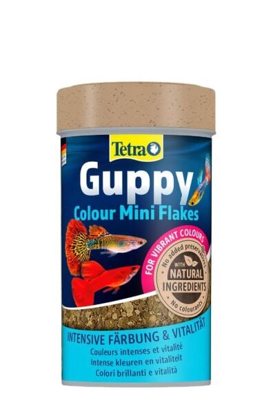 Tetra Guppy Colour Mini Flakes Lepistes Pul Balık Yemi - 100ML