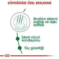 Royal Canin Mini İndoor Adult 1,5 kg