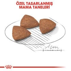 Royal Canin Mini İndoor Adult 1,5 kg