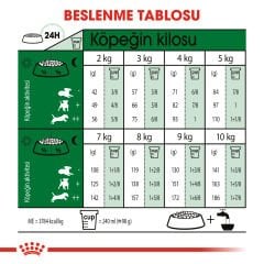 Royal Canin Mini İndoor Adult 1,5 kg
