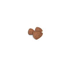 Royal Canin Mini İndoor Puppy Köpek Maması 1,5 kg