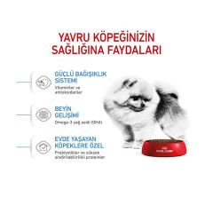 Royal Canin Mini İndoor Puppy Köpek Maması 1,5 kg