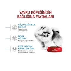 Royal Canin Mini İndoor Puppy 1,5 kg