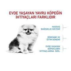 Royal Canin Mini İndoor Puppy Köpek Maması 1,5 kg