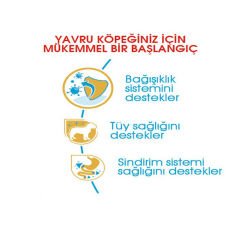 Royal Canin Poodle Yavru Köpek Maması 3 kg