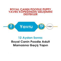 Royal Canin Poodle Yavru Köpek Maması 3 kg