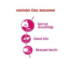 Royal Canin fussy Exigent Kedi Maması 2Kg