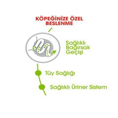Royal Canin XSmall Adult Köpek Maması 3Kg