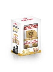 Royal canin Yorkshire Bundle