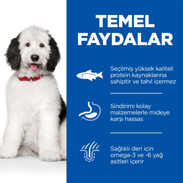Hill's Hypoallergenic Yetişkin Orta Irk Somonlu Köpek Maması  12 Kg