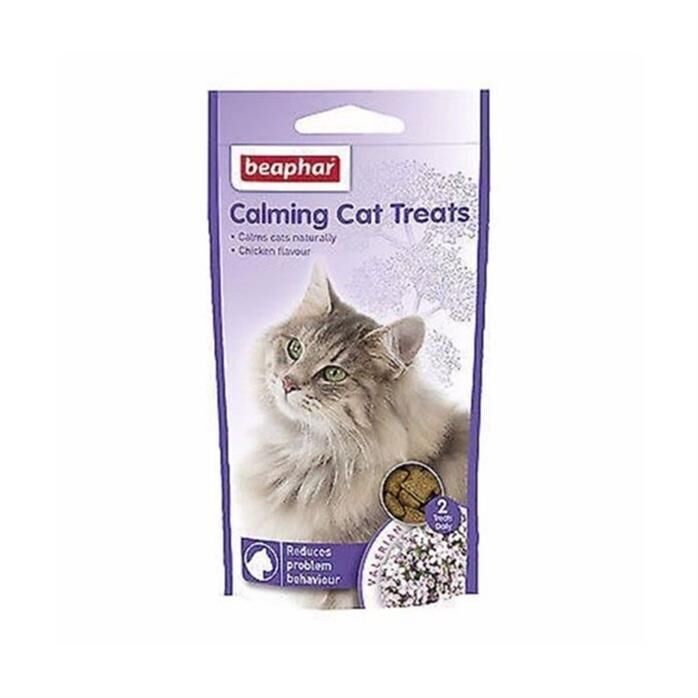 Calming Bits Kedi Ödül