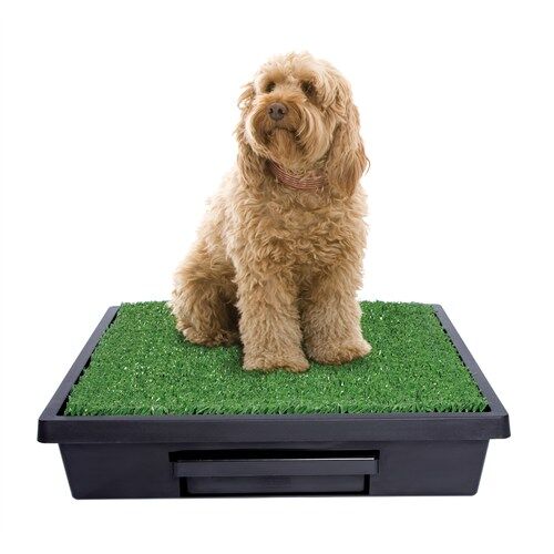 Pet Loo Köpek Tuvaleti Orta Boy 63 cm x 63 cm