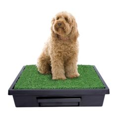 Pet Loo Köpek Tuvaleti Orta Boy 63 cm x 63 cm