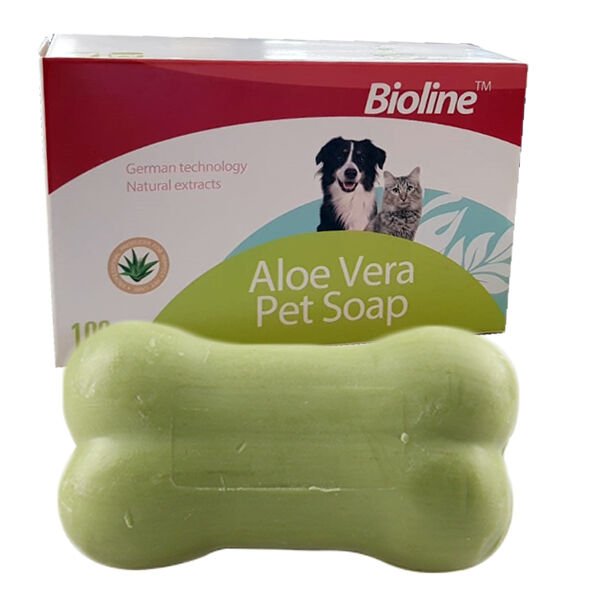Bıolıne Alevore Kuru Sabun 100 Gr