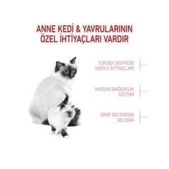 Royal Canin Babycat Yavru Kedi Maması 2Kg