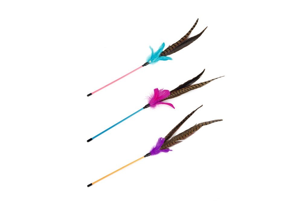 Beeztees Kedi Oltası, Ucu Tüylü-10cm, 30cm 1 adet