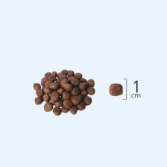 Natura LowGrain Mini Adult Dog Food with Salmon & Blueberry 2,75kg