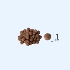 Natura LowGrain Medium Large Puppy Food with Lamb & Pomegranate 12+2kg