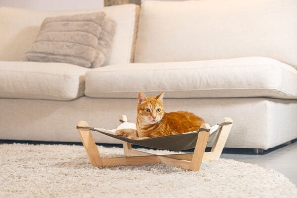 Beeztees Kedi Hamağı 51x51x18,5cm (Gri)