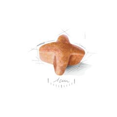 Royal Canin German Shepherd Yetişkin Alman Kurdu Köpek Maması 11 Kg